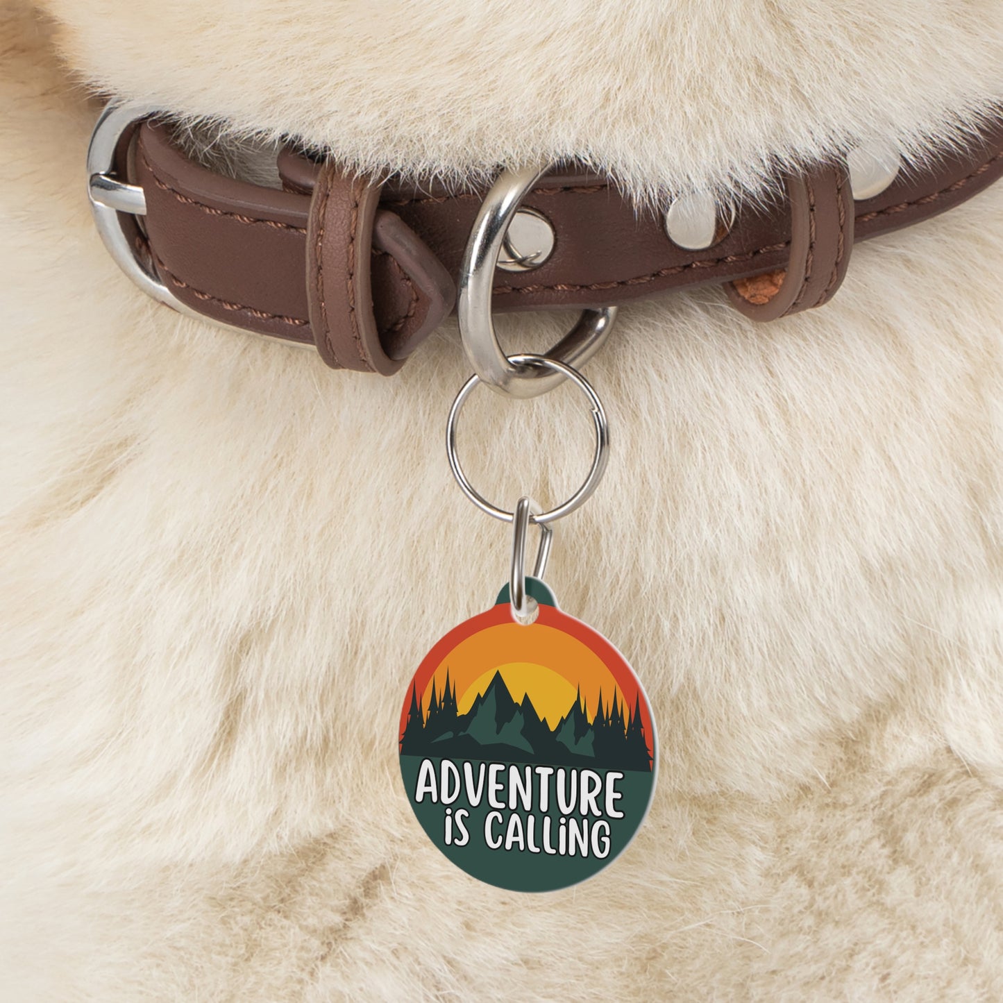 Adventure is Calling Personalized  Pet Tag Tag