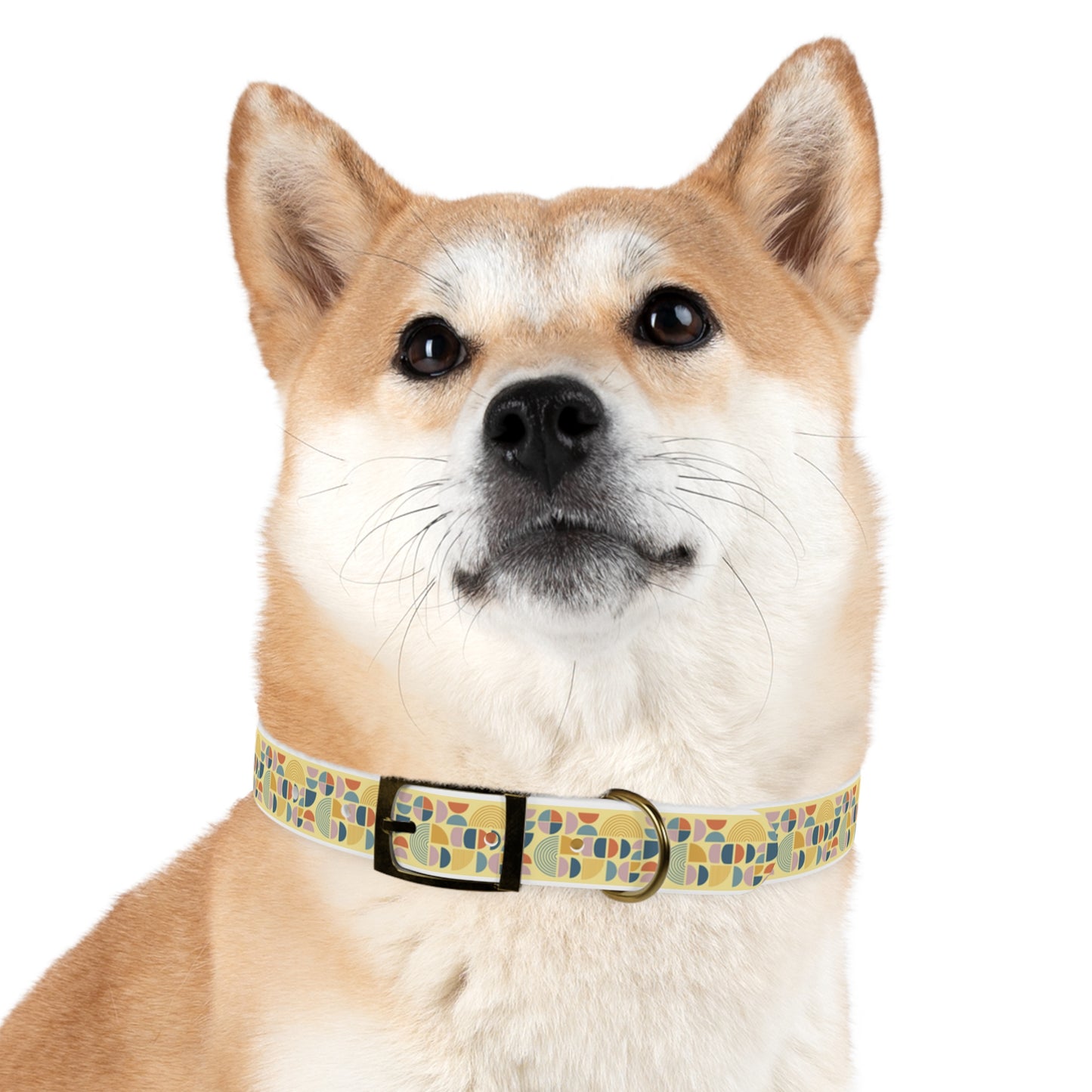 Atomic Pattern Dog Collar -Choose Buckle Finish