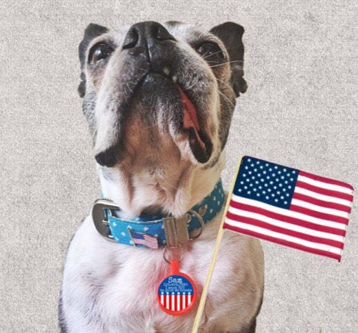 American Flag Patriotic Custom Personalized Dog ID Pet Tag Custom Pet Tag You Choose Tag Size & Colors