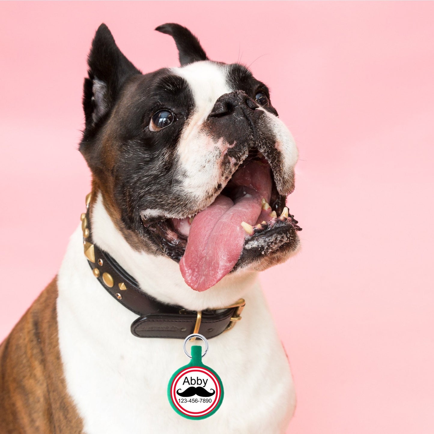 THE ORIGINAL Mustache Personalized Dog ID Pet Tag Custom Pet Tag You Choose Tag Size & Colors-as seen in Every Dog Magazine