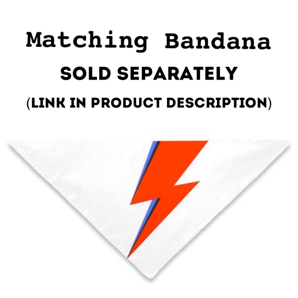 Bowie Ziggy Stardust-inspired Design Personalized Dog ID Pet Tag Custom Pet Tag You Choose Tag Size & Colors