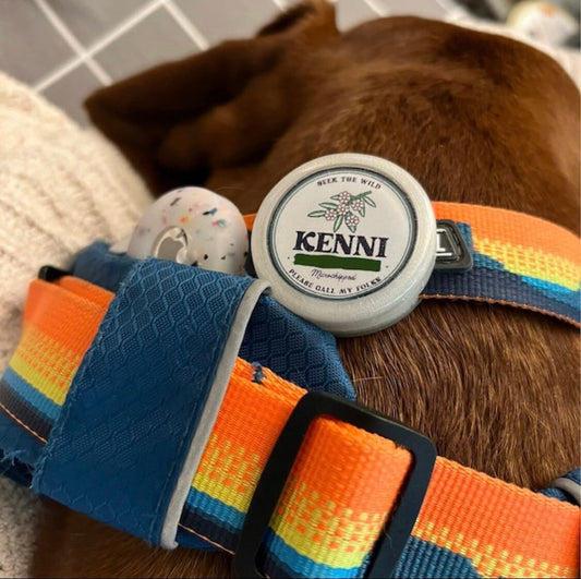 Cute Custom Pet ID Tag • Your Design •Silent Dog ID • Eco-Friendly, Ringless ID Tag for Cats and Dogs