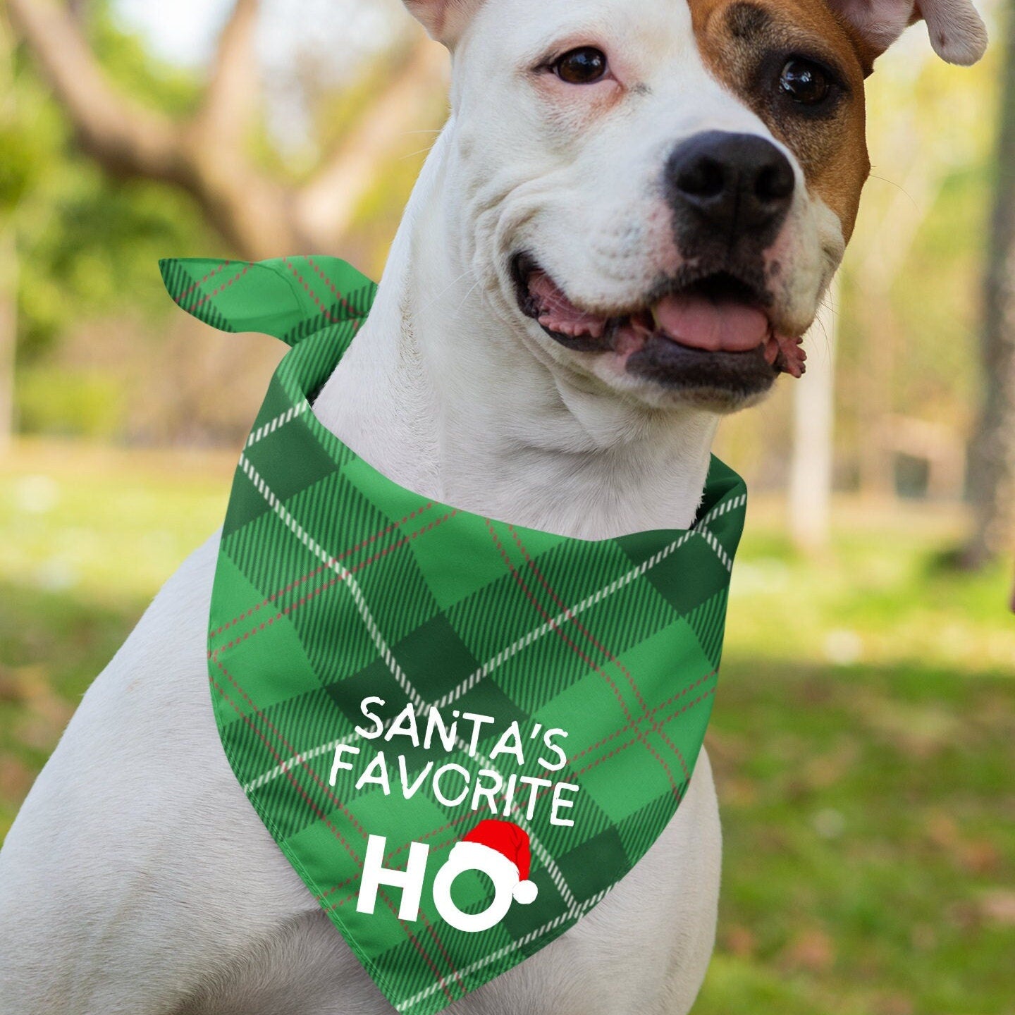 Santa's Favorite Ho Pet Bandana- 2 Sizes for Dogs and Cats